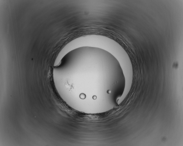 X0000099520328200806121507