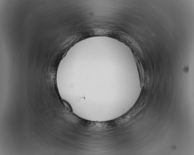 X0000099520329200806121507