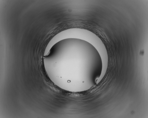 X0000099520332200806121507