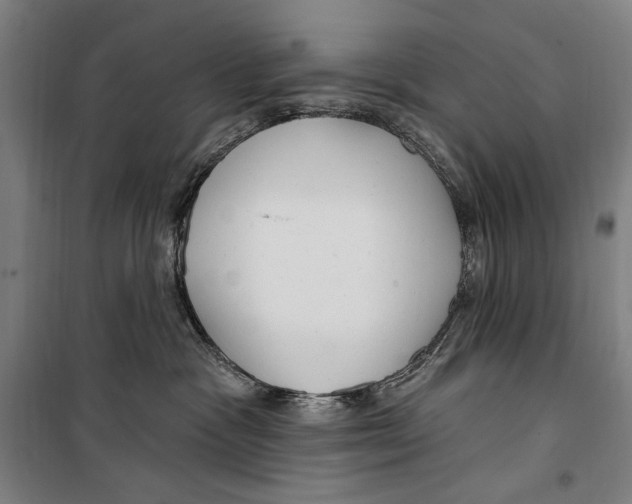 X0000099520333200806121507