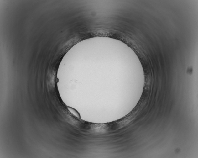 X0000099520334200806121507