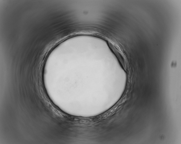 X0000099520337200806121506