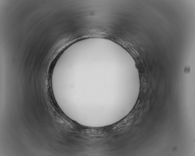 X0000099520338200806121506