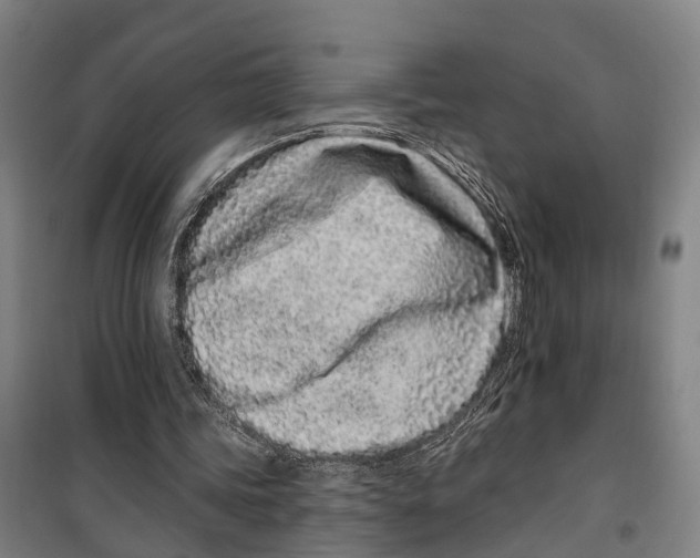 X0000099520339200806121506