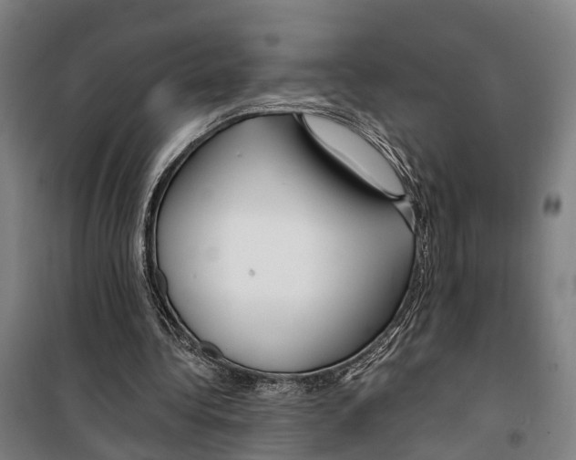 X0000099520340200806121506