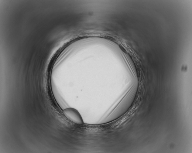 X0000099520342200806121507