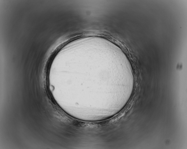 X0000099520343200806121507