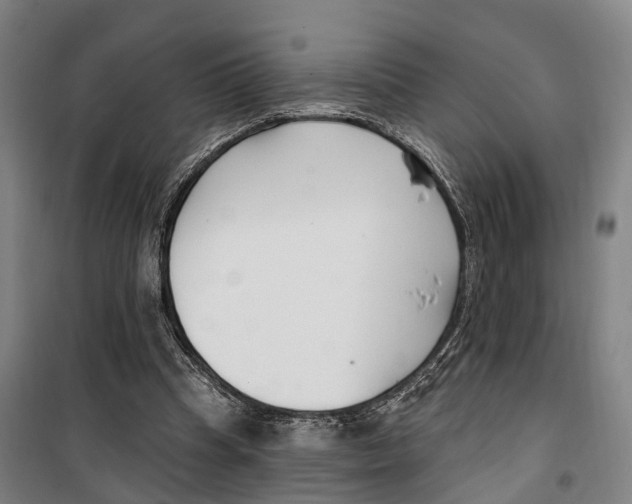 X0000099520345200806121507