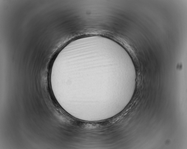 X0000099520346200806121507