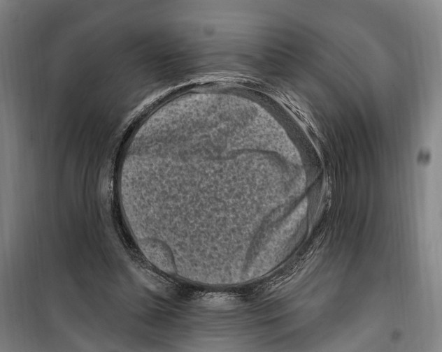 X0000099520348200806121507