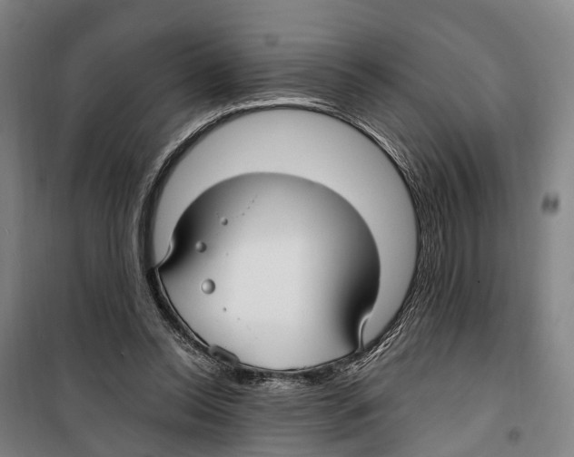 X0000099520350200806121507