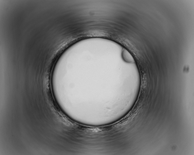 X0000099520351200806121507