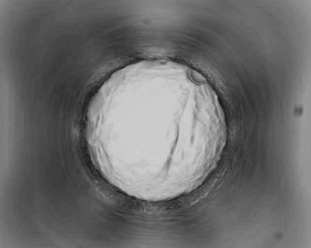 X0000099520353200806121507