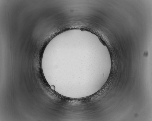 X0000099520354200806121507