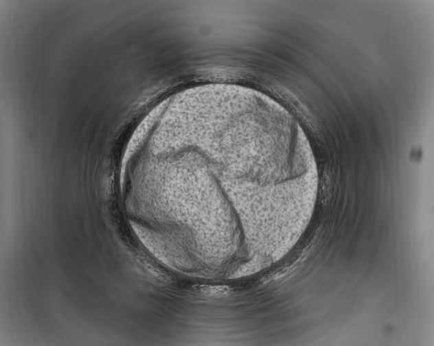 X0000099520355200806121507