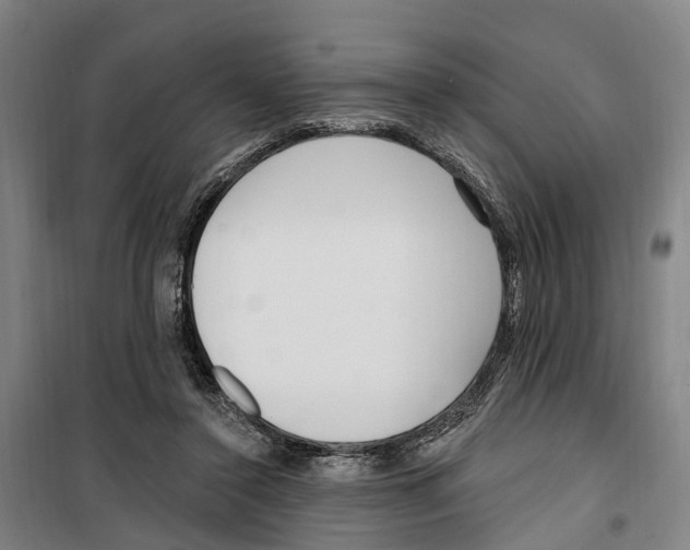 X0000099520356200806121507