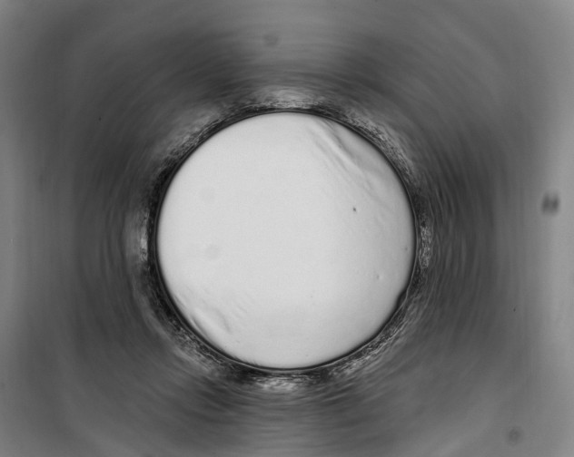 X0000099520358200806121507