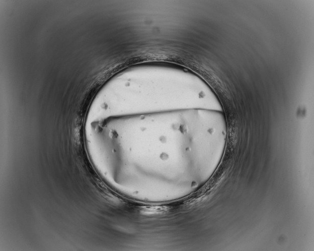 X0000099520359200806121507