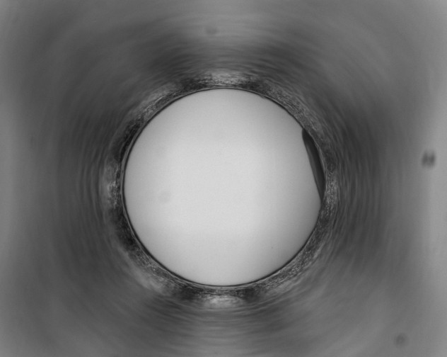 X0000099520360200806121507