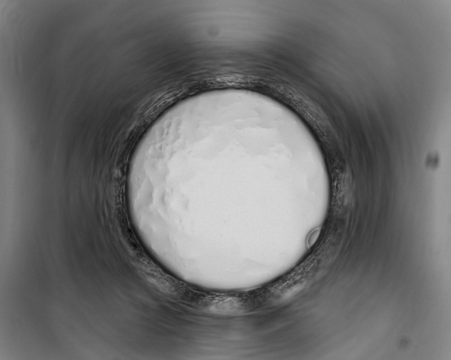 X0000099520361200806121507