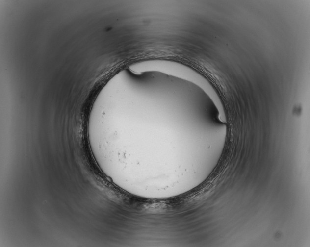 X0000099520362200806121507