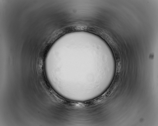 X0000099520363200806121507