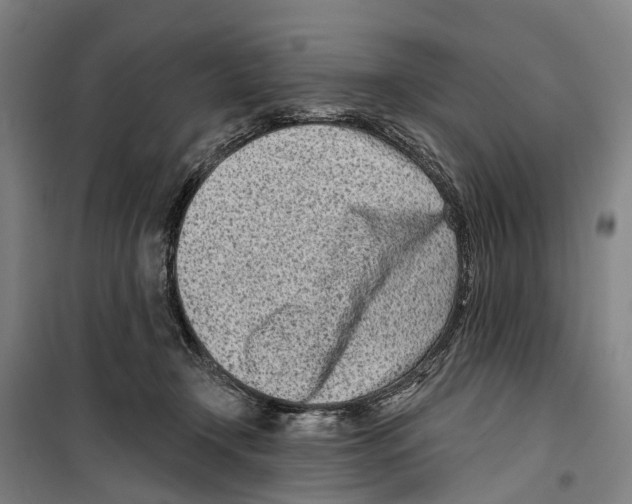 X0000099520366200806121507