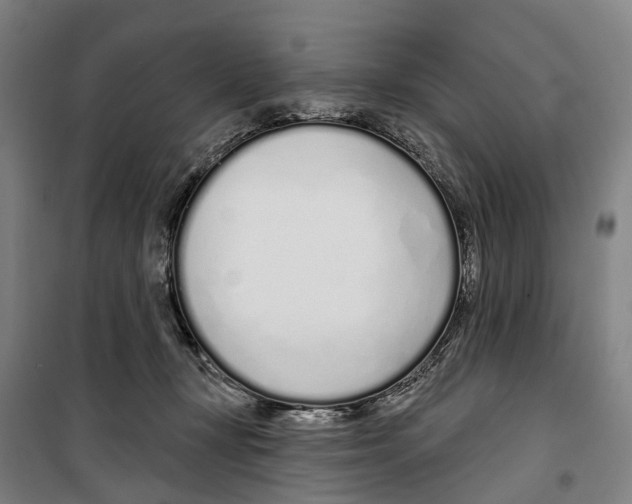 X0000099520367200806121507