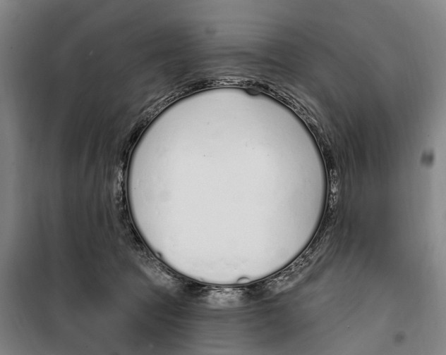 X0000099520369200806121507