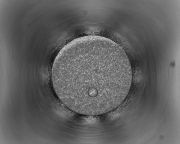 X0000099520370200806121507