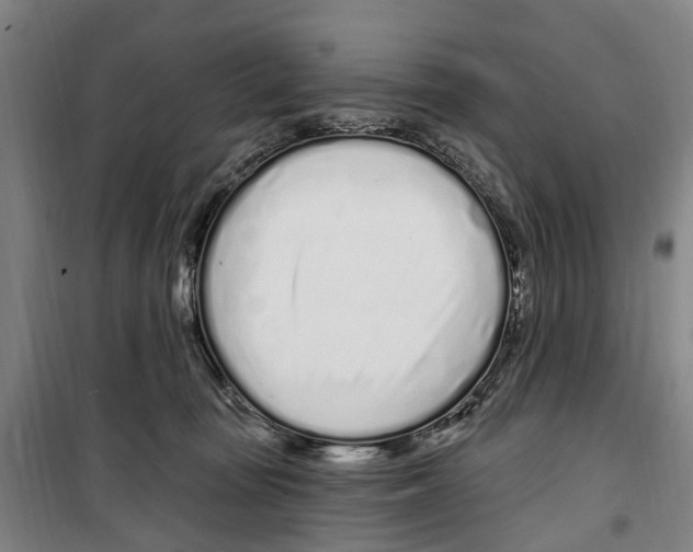 X0000099520371200806121507