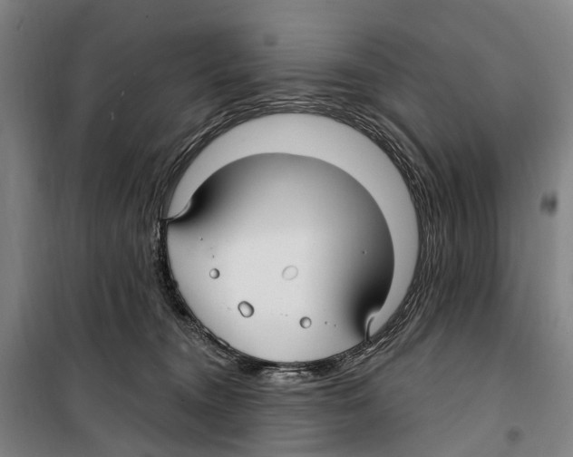 X0000099520372200806121507