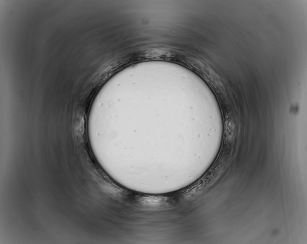 X0000099520375200806121507