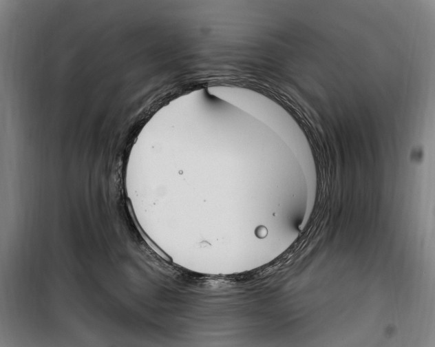 X0000099520376200806121507