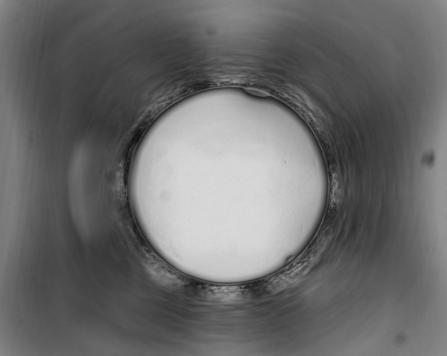 X0000099520377200806121507