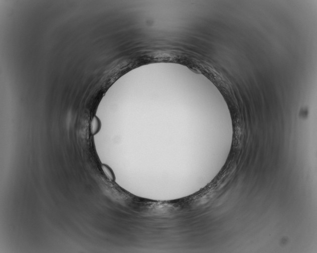 X0000099520379200806121507