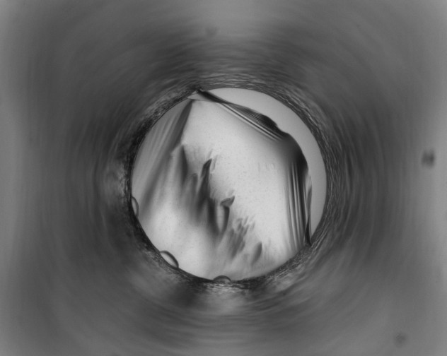 X0000099520380200806121507