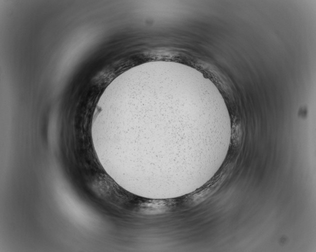 X0000099520381200806121507