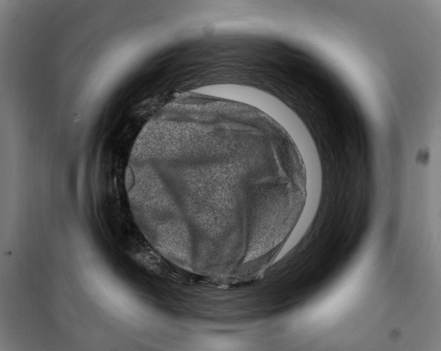 X0000099520382200806121507