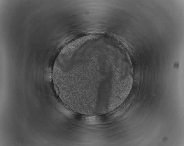 X0000099520383200806121507