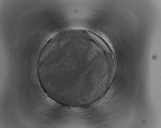 X0000099520385200806121506