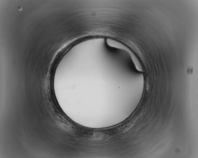 X0000099520388200806121506