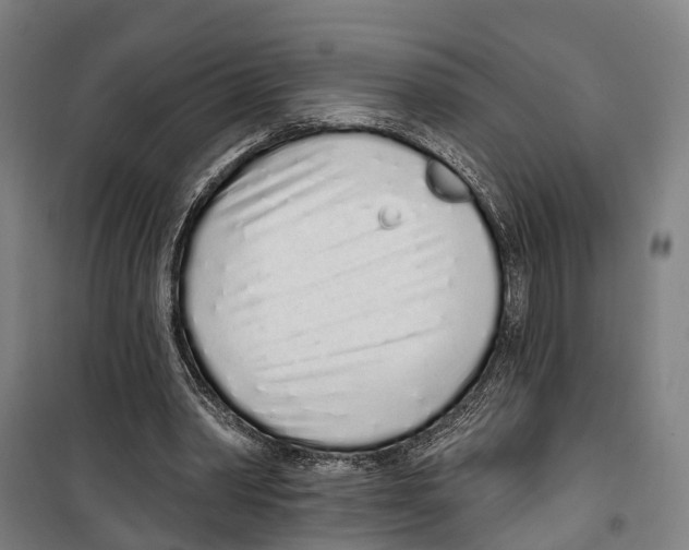 X0000099520390200806121506