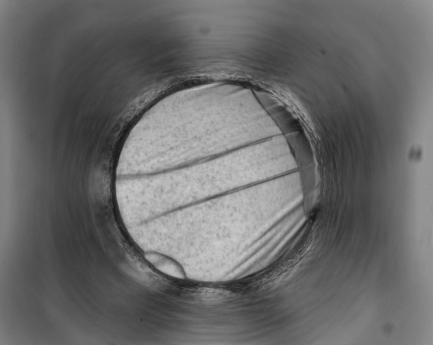 X0000099520393200806121506