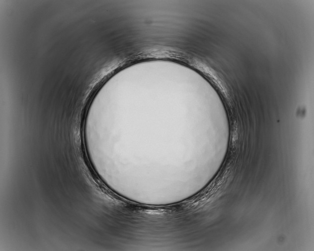 X0000099520394200806121506