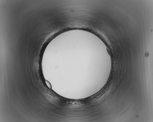 X0000099520395200806121506