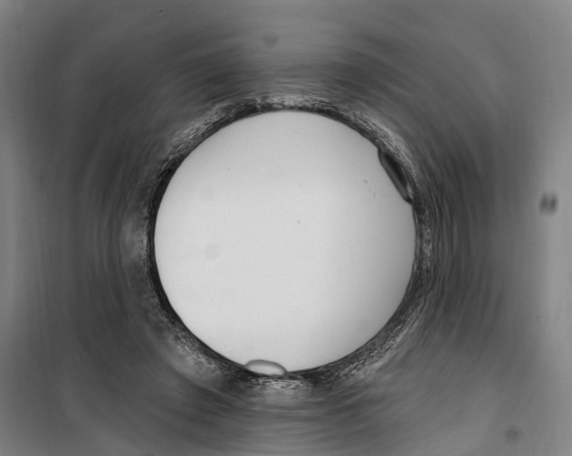 X0000099520401200806121506