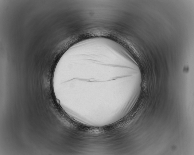 X0000099520402200806121506