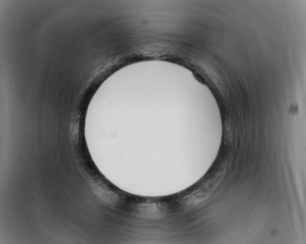 X0000099520404200806121506