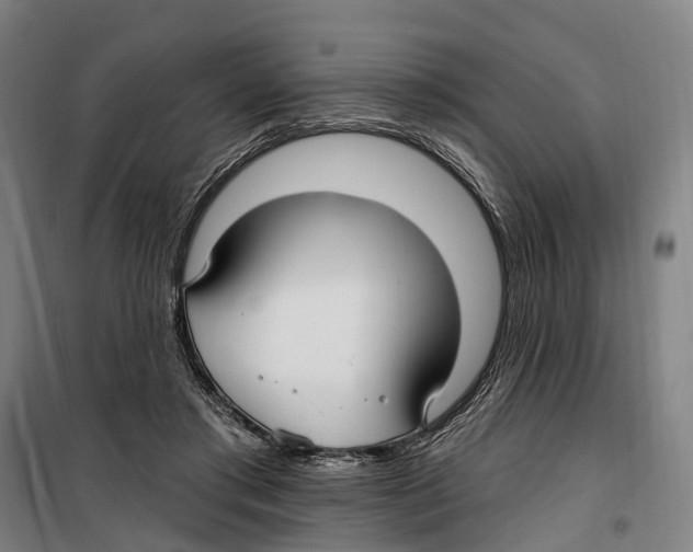 X0000099520405200806121506